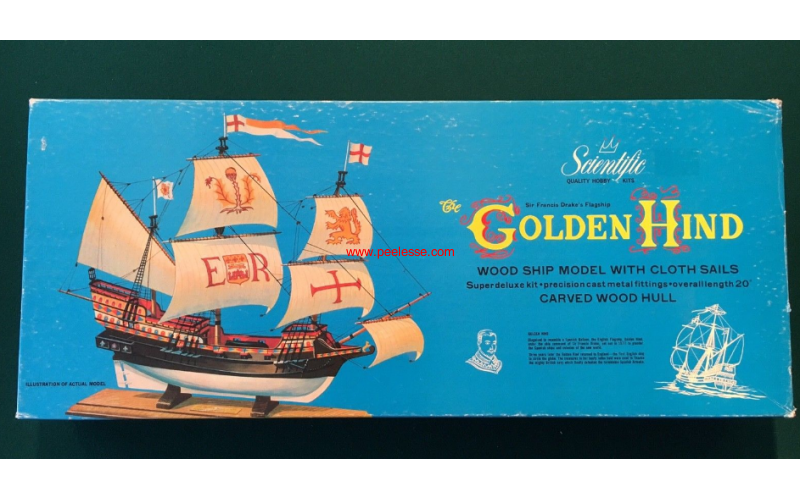 GOLDEN HIND(金鹿)