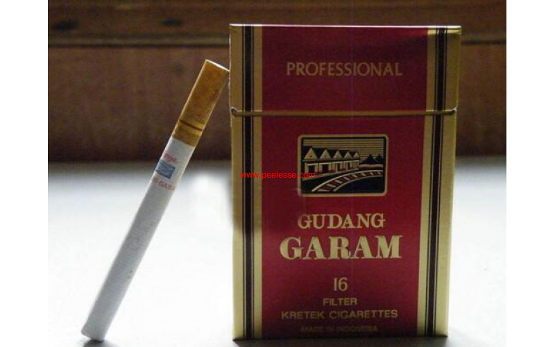 GUDANG GARAM(盐仓)